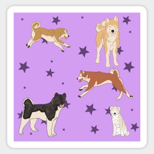 Purple Akitas and Stars Sticker